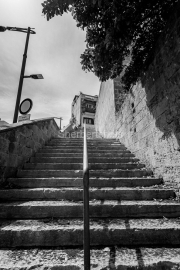 Brindisi Steps